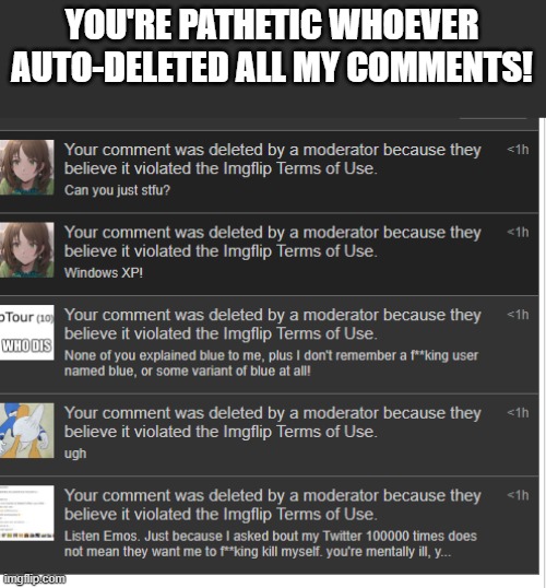 (Emosnake note: I'm approving this just so everyone can see how pathetic u are) | YOU'RE PATHETIC WHOEVER AUTO-DELETED ALL MY COMMENTS! | made w/ Imgflip meme maker