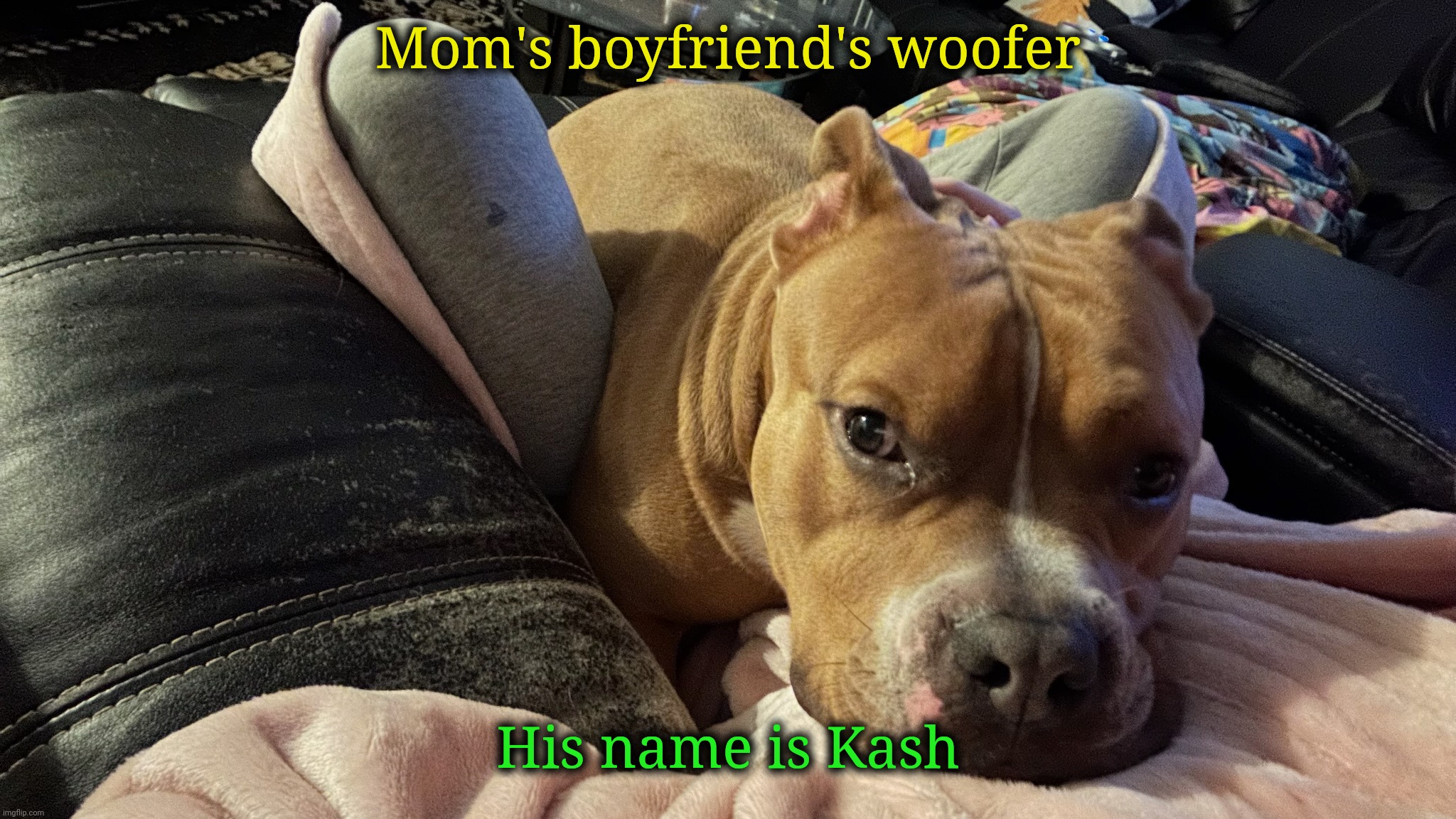 Mom's boyfriend's woofer; His name is Kash | made w/ Imgflip meme maker