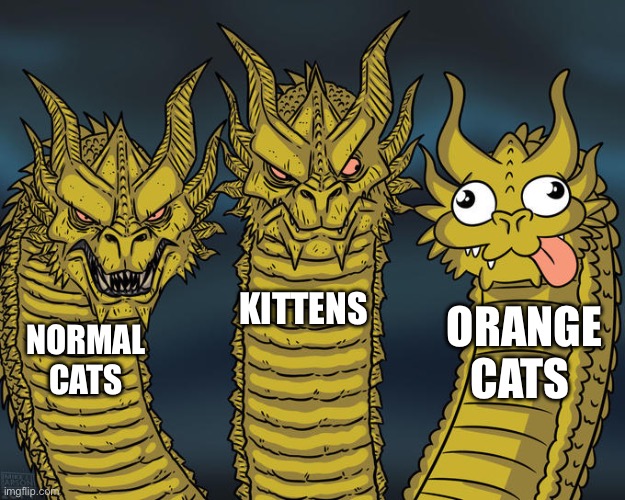 Orange cats goo brrrr | KITTENS; ORANGE CATS; NORMAL CATS | image tagged in three-headed dragon,memes | made w/ Imgflip meme maker