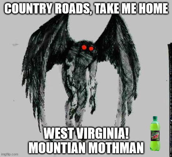 Mothman country roads | COUNTRY ROADS, TAKE ME HOME; WEST VIRGINIA! MOUNTIAN MOTHMAN | image tagged in moth,human | made w/ Imgflip meme maker