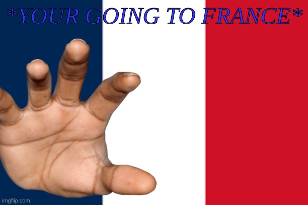 Your going to france | *YOUR GOING TO FRANCE* | image tagged in memes,lol,meme | made w/ Imgflip meme maker