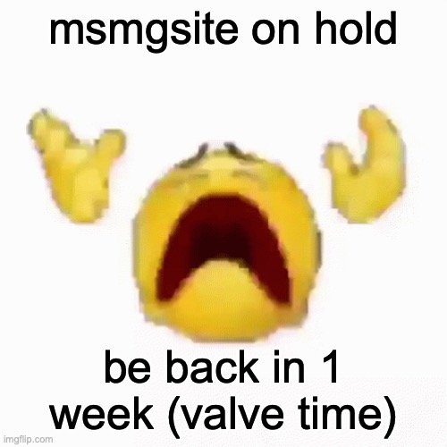 see yall in 2028 | msmgsite on hold; be back in 1 week (valve time) | image tagged in nooo | made w/ Imgflip meme maker