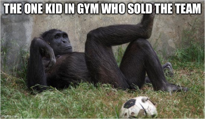 lol | THE ONE KID IN GYM WHO SOLD THE TEAM | image tagged in gorilla relax | made w/ Imgflip meme maker