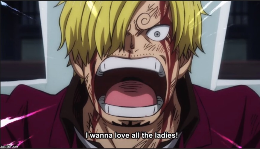 Sanji wants to love all ladies | image tagged in sanji wants to love all ladies | made w/ Imgflip meme maker