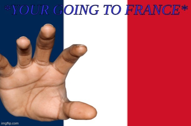 YOUR GOING TO FRANCE | image tagged in memes,lol,french,france | made w/ Imgflip meme maker