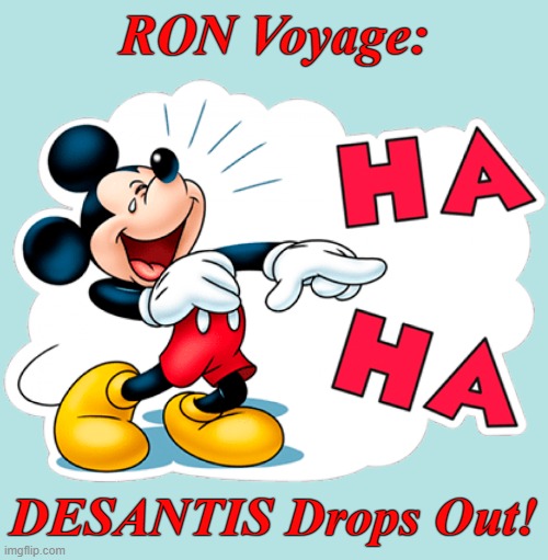 Florida! Where anti-woke Republican Presidential candidates go to die! | RON Voyage:; DESANTIS Drops Out! | image tagged in ron desantis,loser,disney world,florida,anti woke | made w/ Imgflip meme maker