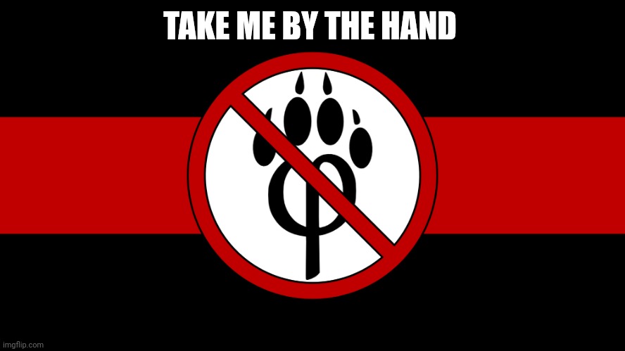 anti furry flag | TAKE ME BY THE HAND | image tagged in anti furry flag | made w/ Imgflip meme maker