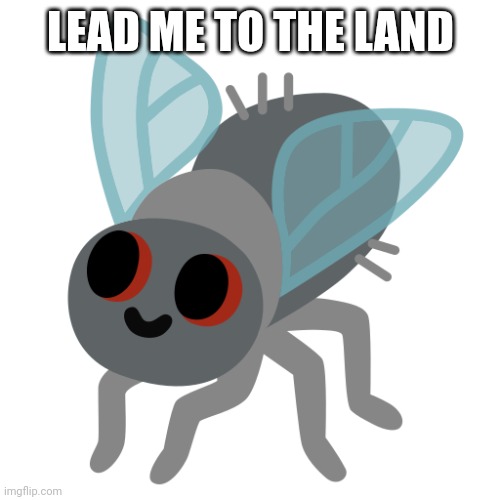 bob | LEAD ME TO THE LAND | image tagged in bob | made w/ Imgflip meme maker