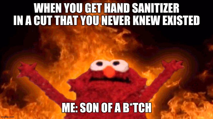 I hate it when this happens, don't you? Upvote if you agree. | WHEN YOU GET HAND SANITIZER IN A CUT THAT YOU NEVER KNEW EXISTED; ME: SON OF A B*TCH | image tagged in elmo fire | made w/ Imgflip meme maker