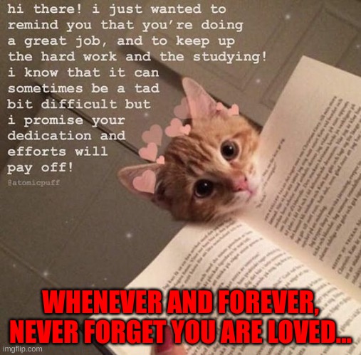 Share if you would like, I am not begging, I am just posting to make you smile. | WHENEVER AND FOREVER, NEVER FORGET YOU ARE LOVED... | made w/ Imgflip meme maker