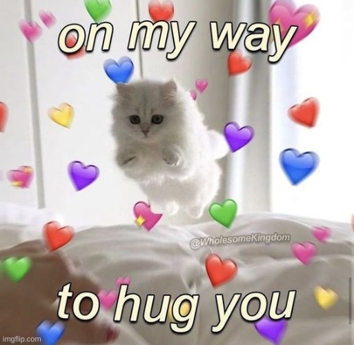 For all those that need and want a hug ofcourse. | made w/ Imgflip meme maker
