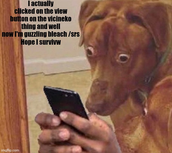 shocked dog | I actually clicked on the view button on the vicineko thing and well now I'm guzzling bleach /srs
Hope I survivw | image tagged in shocked dog | made w/ Imgflip meme maker