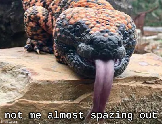 miniature seizure | not me almost spazing out | image tagged in gila monster lick | made w/ Imgflip meme maker