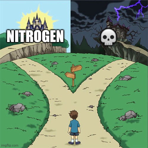 Two Paths | NITROGEN ? | image tagged in two paths | made w/ Imgflip meme maker