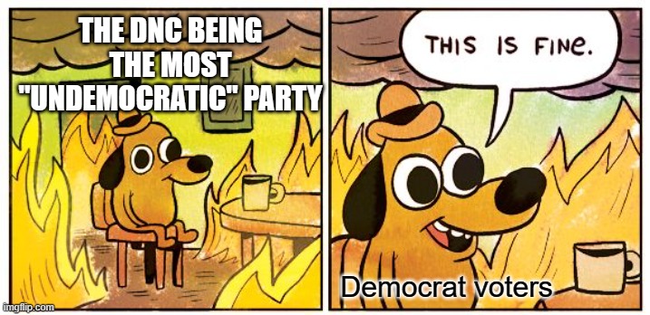 This Is Fine | THE DNC BEING THE MOST "UNDEMOCRATIC" PARTY; Democrat voters | image tagged in memes,this is fine | made w/ Imgflip meme maker