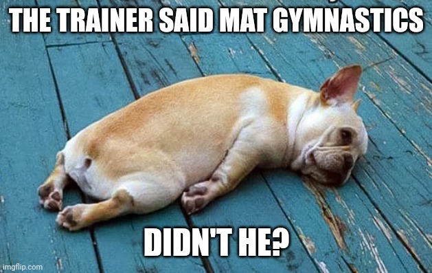 Me today after too many hard days at the gym.  | THE TRAINER SAID MAT GYMNASTICS; DIDN'T HE? | image tagged in me today after too many hard days at the gym | made w/ Imgflip meme maker
