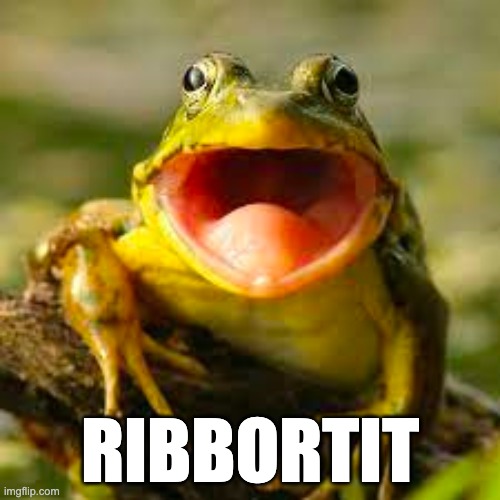 Ribbortit | RIBBORTIT | image tagged in frog,ribbit,abortion | made w/ Imgflip meme maker