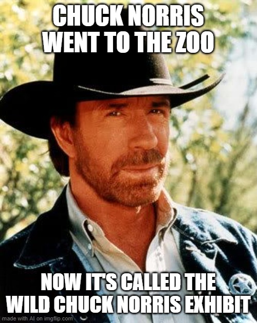 I thought the zoo came to him | CHUCK NORRIS WENT TO THE ZOO; NOW IT'S CALLED THE WILD CHUCK NORRIS EXHIBIT | image tagged in memes,chuck norris,zoo,exhibit,wild,ai meme | made w/ Imgflip meme maker