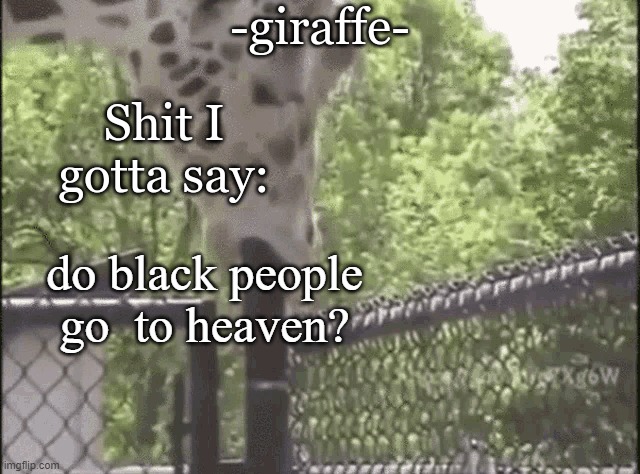 -giraffe- | do black people go  to heaven? | image tagged in -giraffe- | made w/ Imgflip meme maker