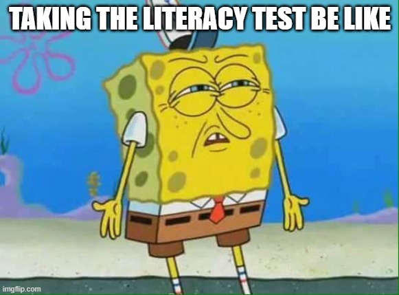 Confused Spongebob | TAKING THE LITERACY TEST BE LIKE | image tagged in confused spongebob | made w/ Imgflip meme maker