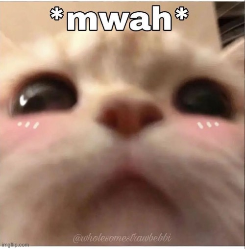 ily <3 | made w/ Imgflip meme maker