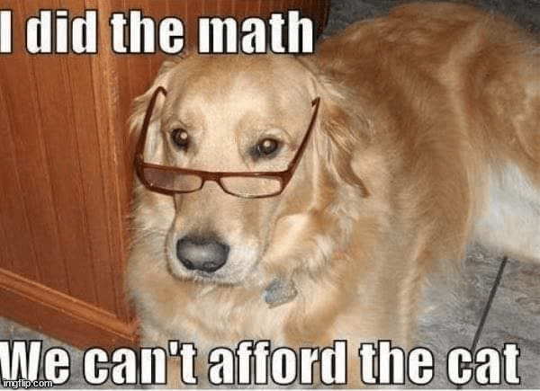 Well that settles that... | image tagged in repost,dog,accountant,we cannot afford the cat | made w/ Imgflip meme maker