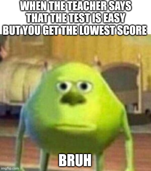 Is it easy? | WHEN THE TEACHER SAYS THAT THE TEST IS EASY BUT YOU GET THE LOWEST SCORE; BRUH | image tagged in mike monster inc bruh meme,funny,memes,tests,school | made w/ Imgflip meme maker