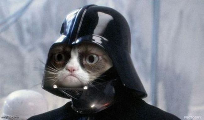 Grumpy Cat Star Wars Meme | image tagged in memes,grumpy cat star wars,grumpy cat | made w/ Imgflip meme maker