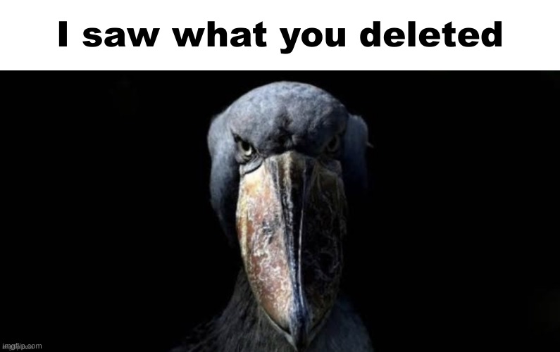 I saw what you deleted | made w/ Imgflip meme maker