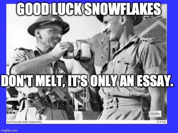 Good luck snowflakes , don't melt it is only n essay | GOOD LUCK SNOWFLAKES; DON'T MELT, IT'S ONLY AN ESSAY. | image tagged in good luck,essay,ww2 | made w/ Imgflip meme maker