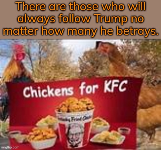 Just keep drinking your FlavorAid. | There are those who will
always follow Trump no matter how many he betrays. | image tagged in chickens for kfc,cognitive dissonance,biggest loser,get over it,2020 elections,suicide squad | made w/ Imgflip meme maker