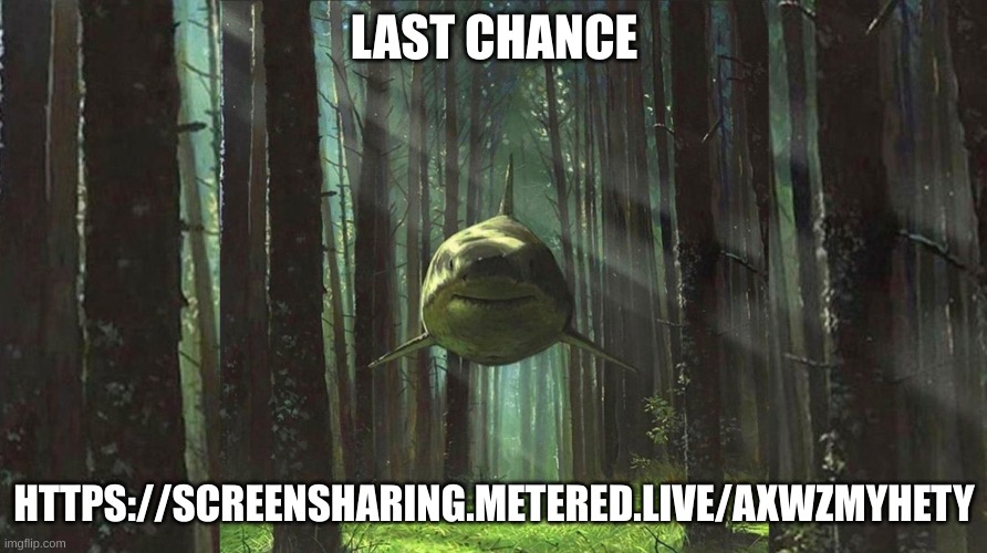 shark in forest | LAST CHANCE; HTTPS://SCREENSHARING.METERED.LIVE/AXWZMYHETY | image tagged in shark in forest | made w/ Imgflip meme maker