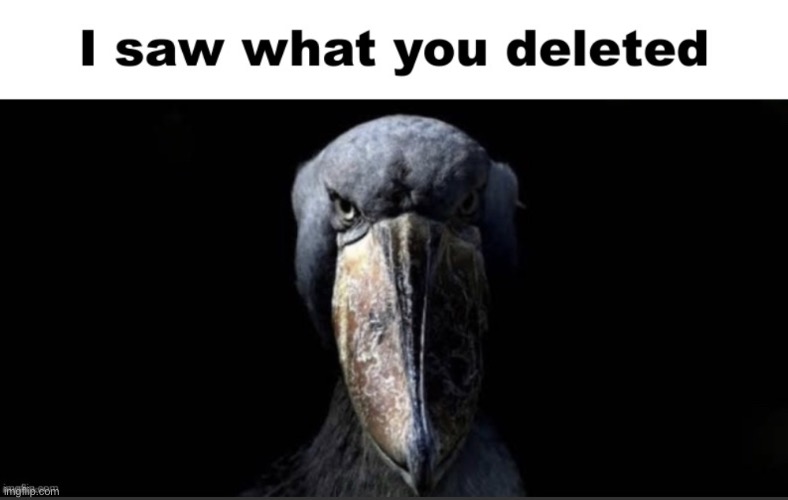 I saw what you deleted | image tagged in i saw what you deleted | made w/ Imgflip meme maker