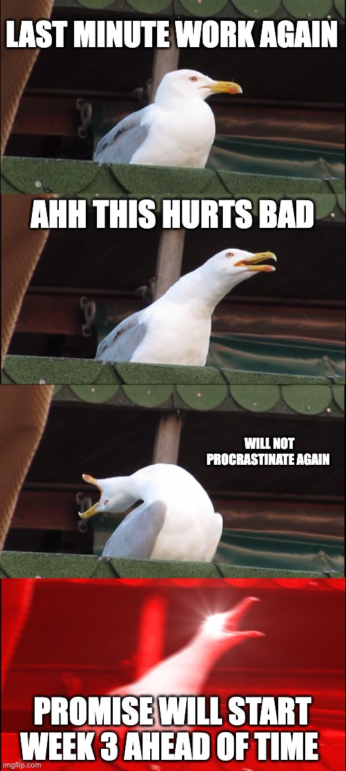 Inhaling Seagull | LAST MINUTE WORK AGAIN; AHH THIS HURTS BAD; WILL NOT PROCRASTINATE AGAIN; PROMISE WILL START WEEK 3 AHEAD OF TIME | image tagged in memes,inhaling seagull | made w/ Imgflip meme maker