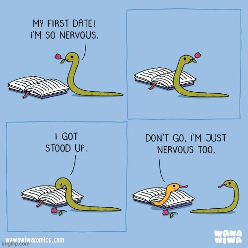 image tagged in snake,first date,book,nervous | made w/ Imgflip meme maker