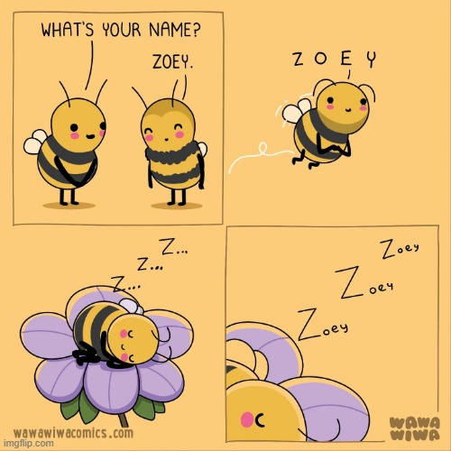 image tagged in bees,name,sleeping | made w/ Imgflip meme maker