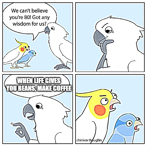 wise cockatoo | WHEN LIFE GIVES YOU BEANS, MAKE COFFEE | image tagged in wise old cockatoo | made w/ Imgflip meme maker