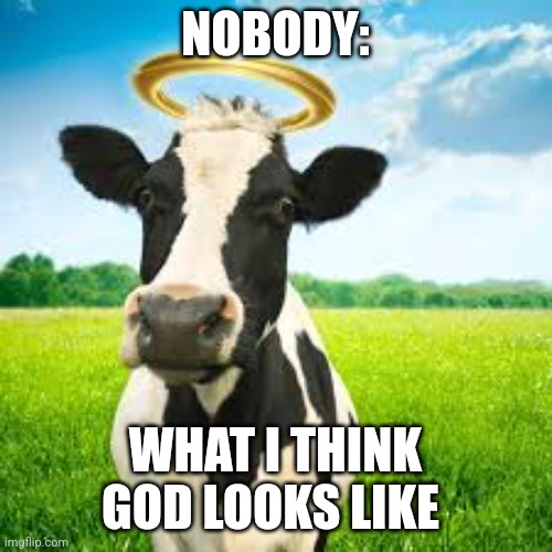 What I think God looks like | NOBODY:; WHAT I THINK GOD LOOKS LIKE | image tagged in holy cow | made w/ Imgflip meme maker
