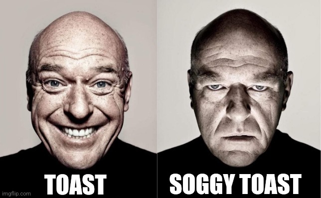 Soggy toast | TOAST; SOGGY TOAST | image tagged in hank,food memes | made w/ Imgflip meme maker