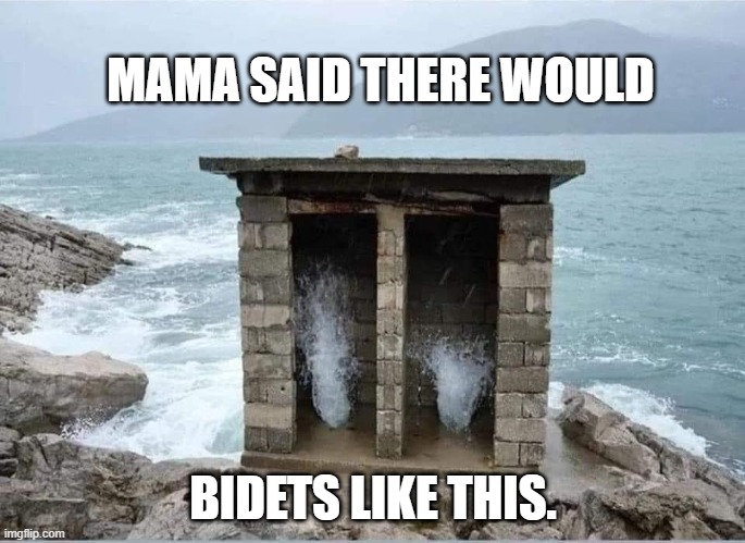 bidets like this | MAMA SAID THERE WOULD; BIDETS LIKE THIS. | image tagged in bidets like this | made w/ Imgflip meme maker