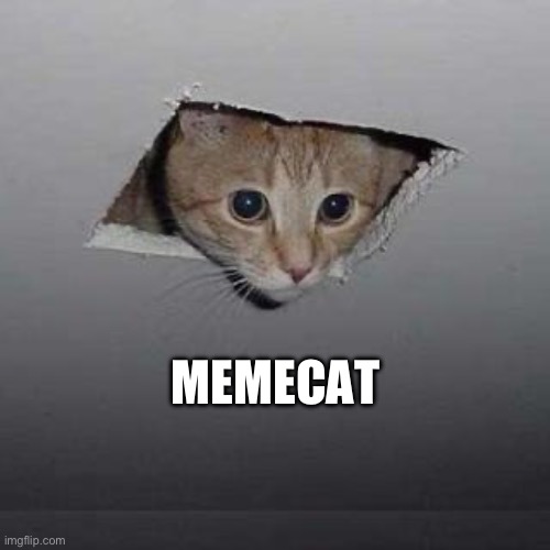 Ceiling Cat | MEMECAT | image tagged in memes,ceiling cat | made w/ Imgflip meme maker