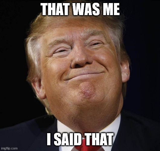 Trump Smiling | THAT WAS ME I SAID THAT | image tagged in trump smiling | made w/ Imgflip meme maker