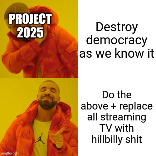 Even bingers won't be safe....vote, people | Destroy democracy as we know it; PROJECT 2025; Do the above + replace all streaming TV with hillbilly shit | image tagged in memes,drake hotline bling | made w/ Imgflip meme maker