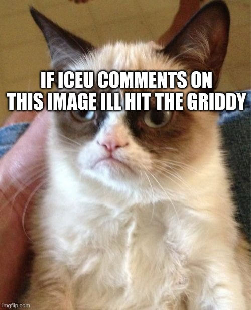 ICEU. | IF ICEU COMMENTS ON THIS IMAGE ILL HIT THE GRIDDY | image tagged in memes,grumpy cat | made w/ Imgflip meme maker