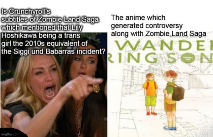 Ai Takabe's real life arrest wasn't the only factor that caused Wandering Son to be removed from Crunchyroll | image tagged in woman yelling at cat,zombieland saga,crunchyroll,anime,controversy | made w/ Imgflip meme maker