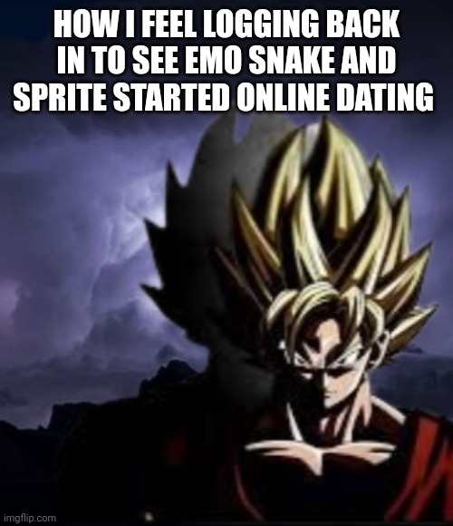 Gl | HOW I FEEL LOGGING BACK IN TO SEE EMO SNAKE AND SPRITE STARTED ONLINE DATING | image tagged in lowteirgoku | made w/ Imgflip meme maker