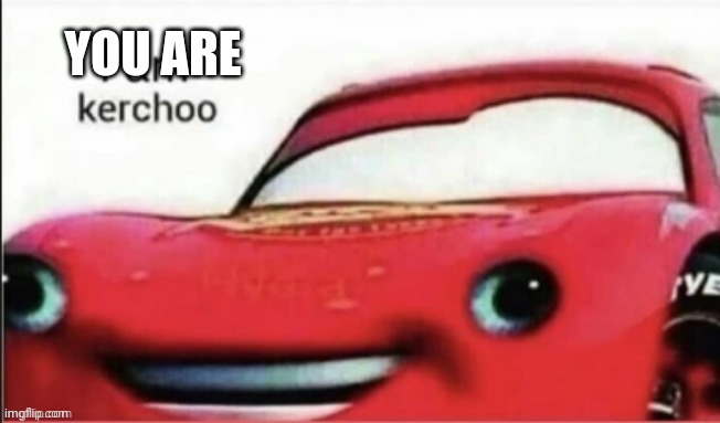 I am kerchoo | YOU ARE | image tagged in i am kerchoo | made w/ Imgflip meme maker