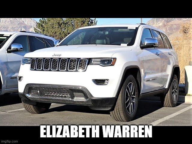 White Cherokee | ELIZABETH WARREN | image tagged in white woman,white,indian,native american,elizabeth warren,cultural appropriation | made w/ Imgflip meme maker