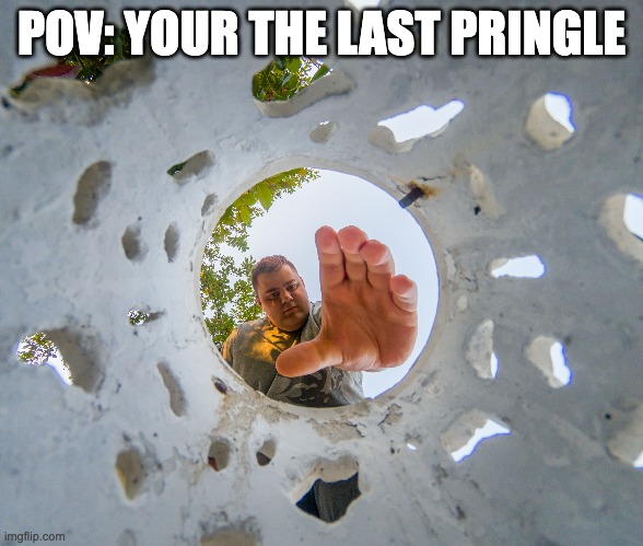 The last pringle | POV: YOUR THE LAST PRINGLE | image tagged in pringles,fyp,food | made w/ Imgflip meme maker