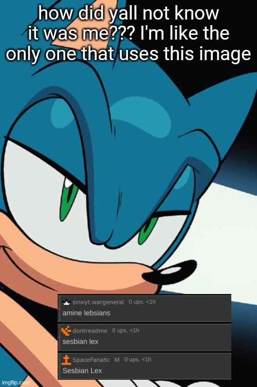 smug sonic | how did yall not know it was me??? I'm like the only one that uses this image | image tagged in smug sonic | made w/ Imgflip meme maker